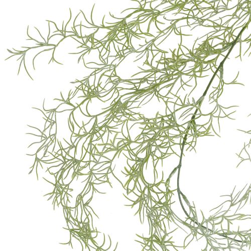 Floristik24 Tillandsienhanger Green 160cm