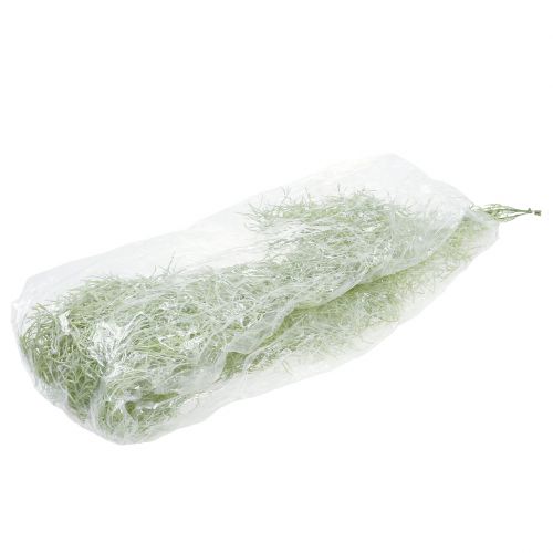 Floristik24 Tillandsienhanger Green 160cm