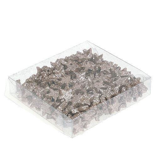 Floristik24 Table top star mica champagne 1,5cm 144pcs