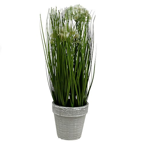 Floristik24 Table decoration deco grass in pot green 30cm