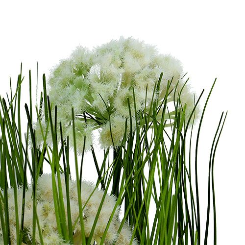 Floristik24 Table decoration deco grass in pot green 30cm