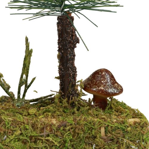 Floristik24 Table decoration mini fir trees artificial fir forest base 30cm