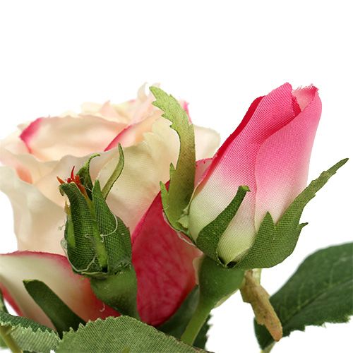 Floristik24 Table decoration Rose in the pot cream 14cm