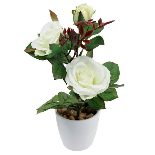 Floristik24 Table decoration Rose in the pot white 24cm