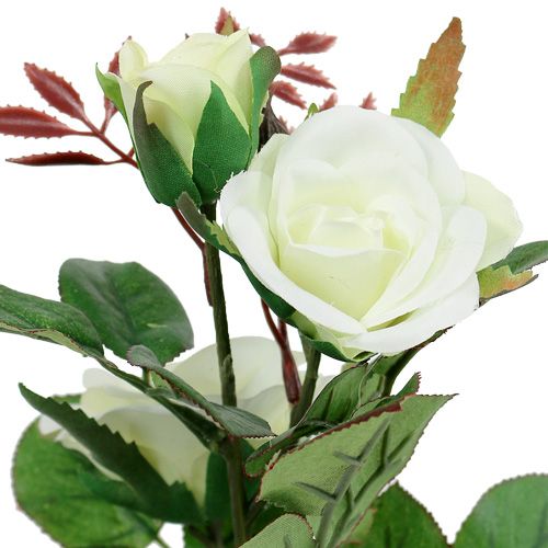 Floristik24 Table decoration Rose in the pot white 24cm