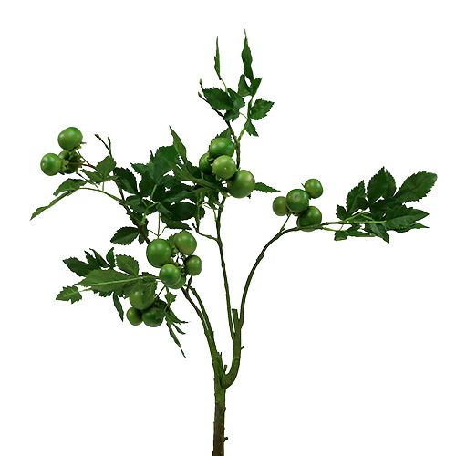 Floristik24 Tomato branch L60cm green