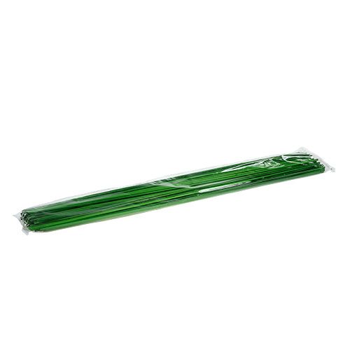 Floristik24 Tonkin Green 70cm 150p.