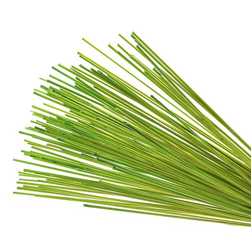 Product Decorative Sticks Tonkin 70cm Light Green 150 Pcs