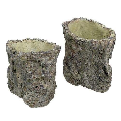 Floristik24 Pot as a tree trunk Ø10.5cm H12cm 2pcs