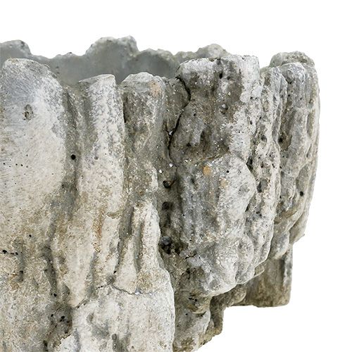 Floristik24 Pot with bark 20.5cm x 17cm 1pc