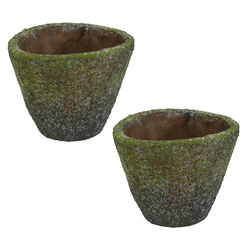 Floristik24 Pot for planting Ø12cm H11cm 2pcs