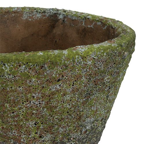 Floristik24 Pot for planting Ø12cm H11cm 2pcs