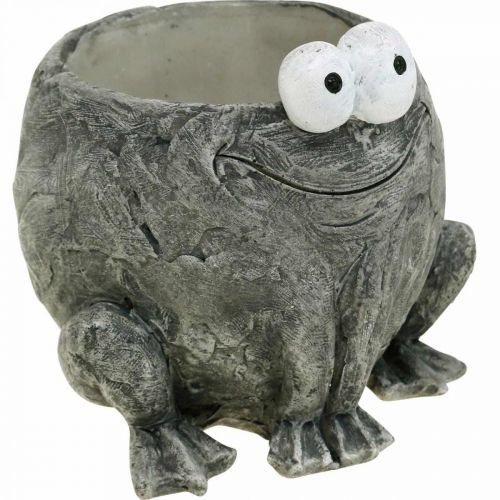 Floristik24 Pot holder frog with smile gray 11x12cm