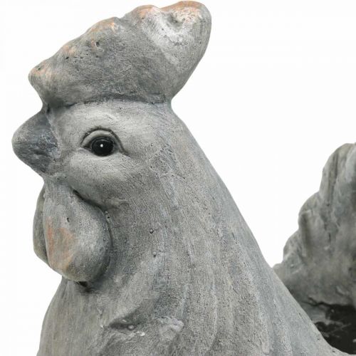 Floristik24 Chicken for planting, Easter decoration, plant pot, spring, decorative chicken concrete look H30cm