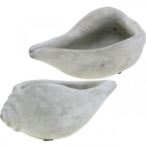 Floristik24 Shell plant pot, plant bowl snail shell, maritime concrete decoration L17cm H7.5cm 3 pieces