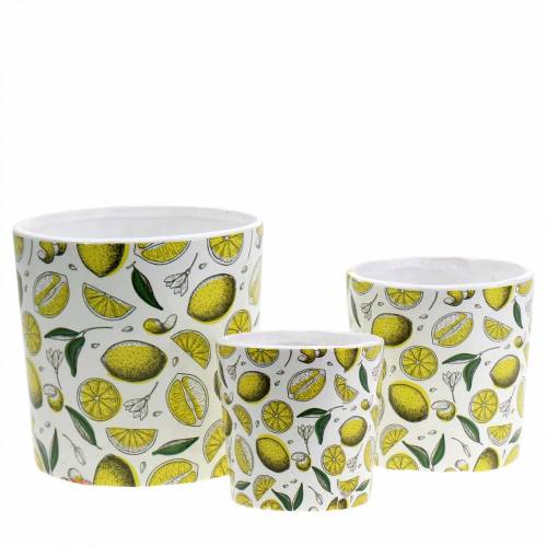 Floristik24 Planter lemon yellow Ø8/10/13cm set of 3