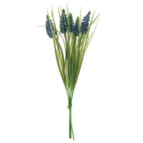 Floristik24 Grape Hyacinth Blue L 28-30cm