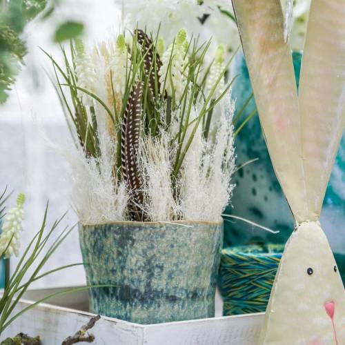 Product Grape Hyacinths in Bunch White 30cm 15 pcs