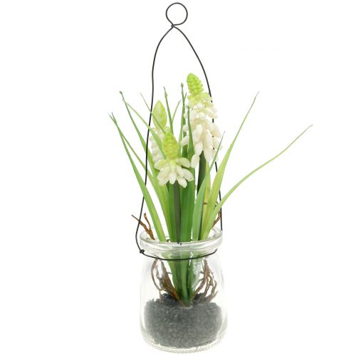 Floristik24 Grape hyacinth white in a glass for hanging H22cm