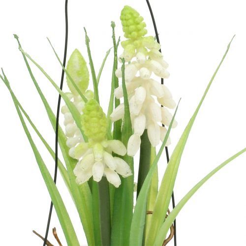 Product Grape hyacinth white in a glass for hanging H22cm