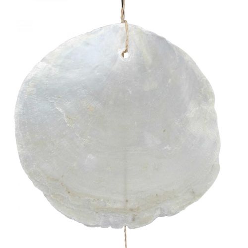 Product Driftwood Capiz shell garland mother of pearl H100cm