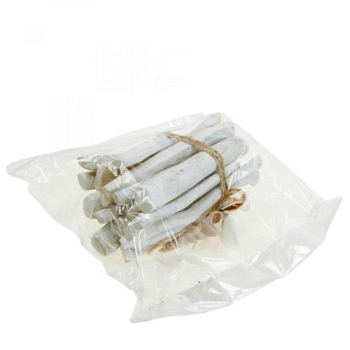 Product Driftwood Deco Driftwood Wood Bundle White L15cm
