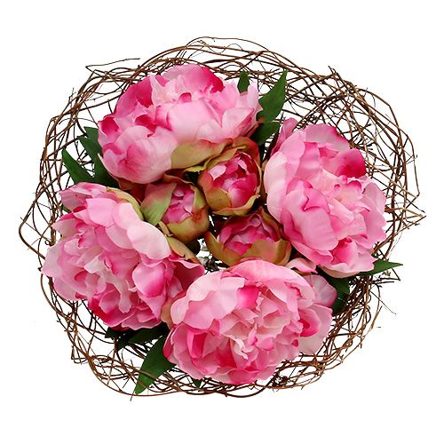 Floristik24 Funnel cuff vine Ø30cm natural 8pcs