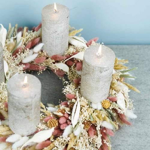 Floristik24 Dried Flower Lagurus Lamp Cleaning Grass Bleached 100g