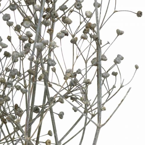 Product Dried Flower Massasa Whitened Decorative Branches 50-55cm Bunch of 6 pcs