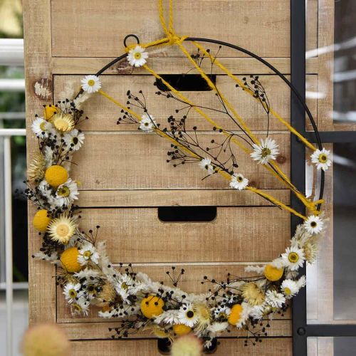 Product Dried flower Massasa Black natural decoration 50-55cm bunch of 10 pieces