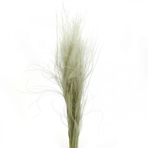 Floristik24 Dried flowers deco feather grass dry grass nature 50g