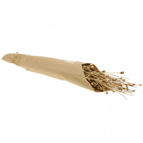 Product Poppy seed capsules Dried flowers Natural H40-60cm 100g