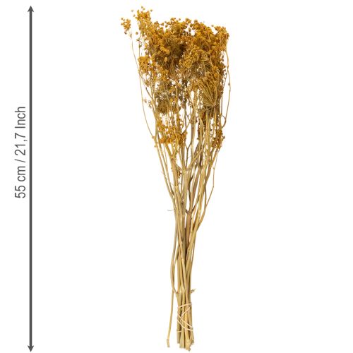 Product Dried flower bouquet with delicate blossoms for romantic vintage decoration 55cm