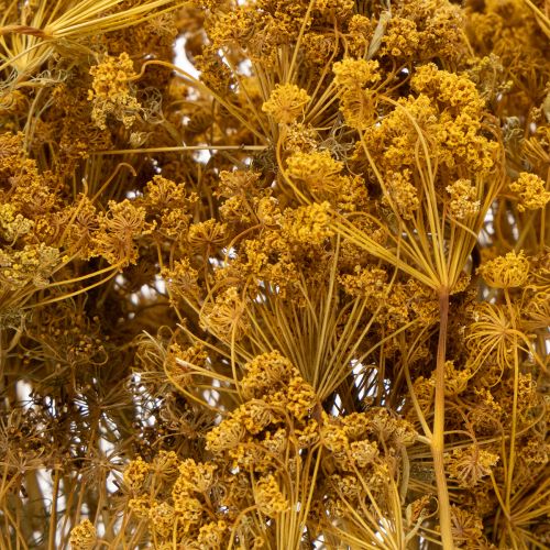 Product Dried flower bouquet with delicate blossoms for romantic vintage decoration 55cm