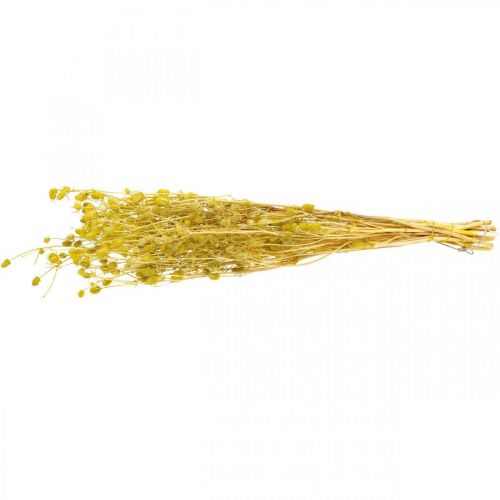 Product Dried Flowers Yellow Dried Thistle Strawberry Thistle 100g