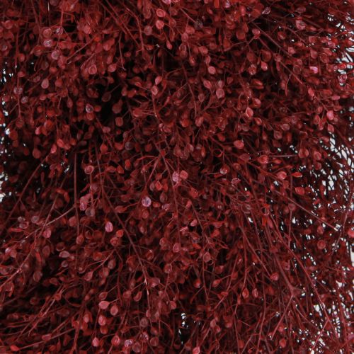 Product Dried Flowers Wreath Bordeaux Wreath Lepidium Ø33cm