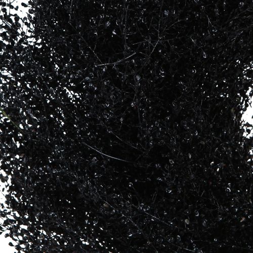 Product Dried flowers wreath black metallic lepidium Ø33cm