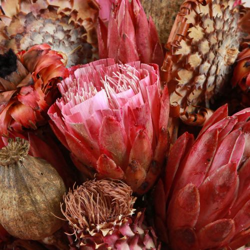Product Dried Flowers Mix Pink Protea Artichoke Poppy 38cm 580g