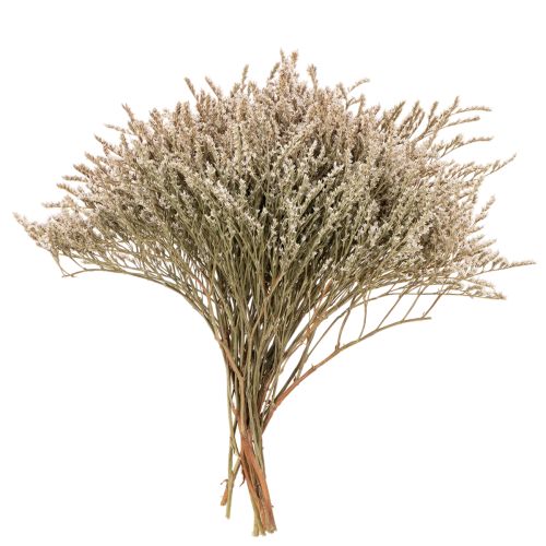 Natural Dried Statice Flowers 1kg Bundle buy online | Floristik24.co.uk