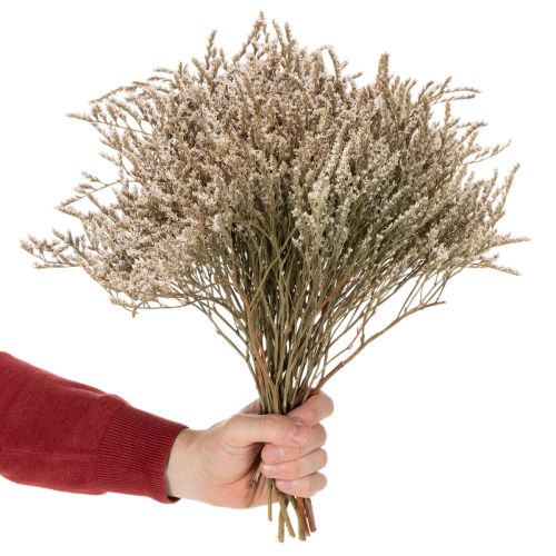 Natural Dried Statice Flowers 1kg Bundle | Floristik24.co.uk