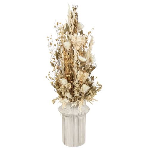 Floristik24 Dried flowers white gold with cap flowers Phalaris 30cm 200g