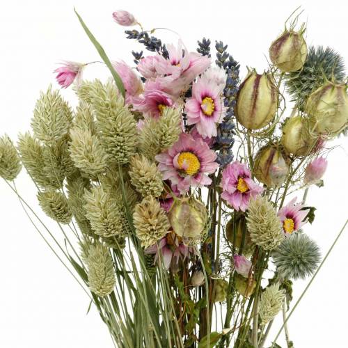 Floristik24 Wild grass bouquet with straw flowers dry flowers 70g
