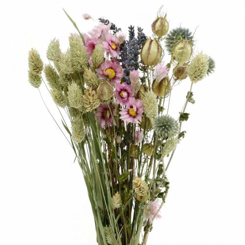 Floristik24 Wild grass bouquet with straw flowers dry flowers 70g