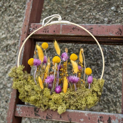 Product Dried flowers cap flowers purple straw flowers H42cm