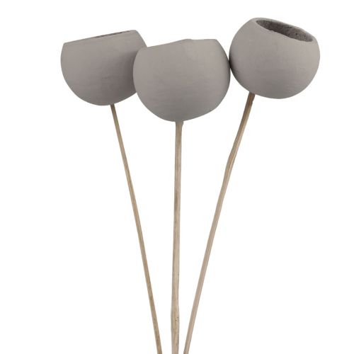 Product Dried flowers decoration bell cups on a stick grey 37cm 3 pcs