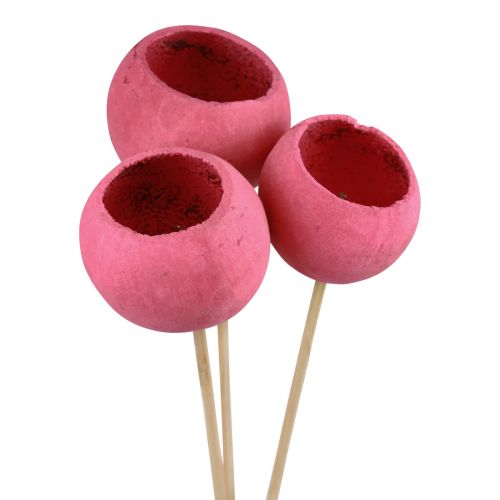 Dried flowers decorative bell cups on a stem pink 42cm 3pcs