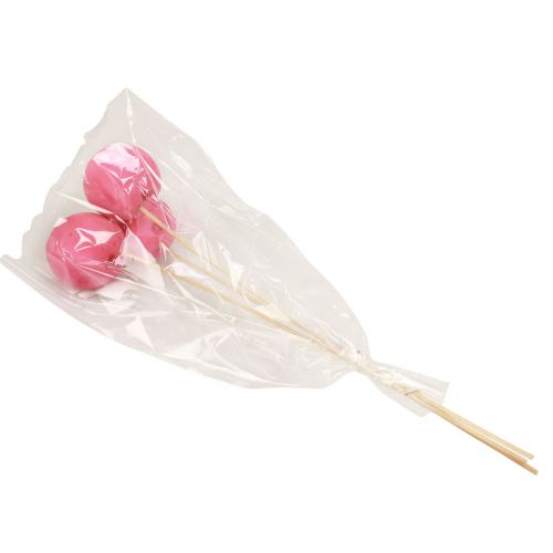 Product Dried flowers decoration bell cups on a stick pink 42cm 3 pcs