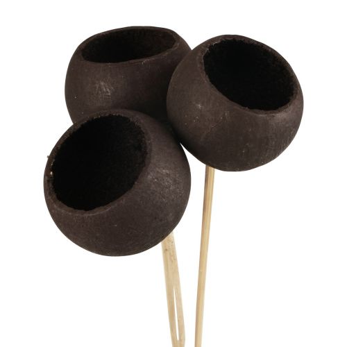 Product Dried flowers decoration bell cups on a stick black 44cm 3 pcs