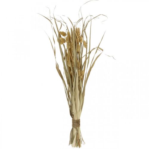 Floristik24 Dried grasses and cereals natural in a bunch dried bouquet 48cm