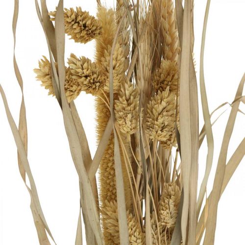 Floristik24 Dried grasses and cereals natural in a bunch dried bouquet 48cm